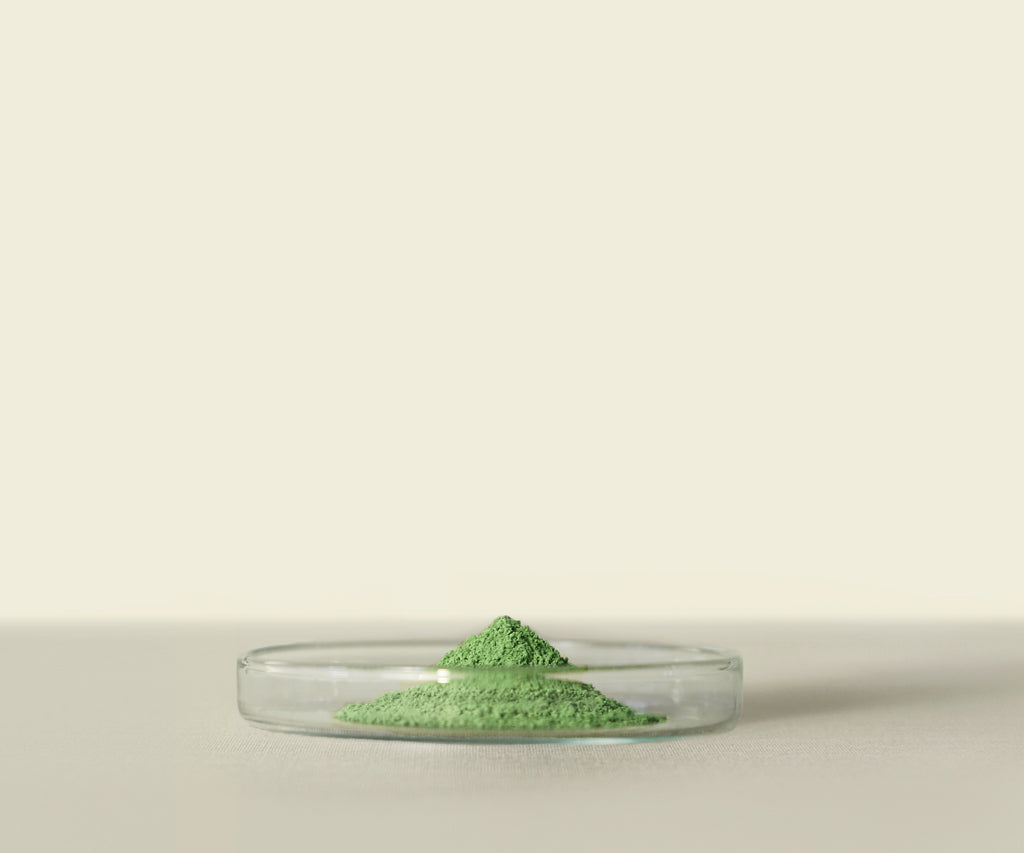 MIDORI™ Culinary Matcha from 20g